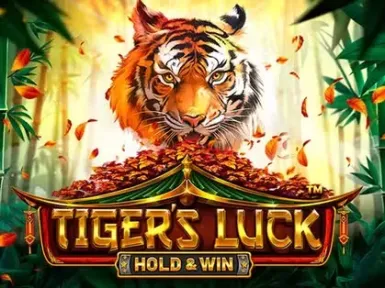 Winzter Casino screenshot